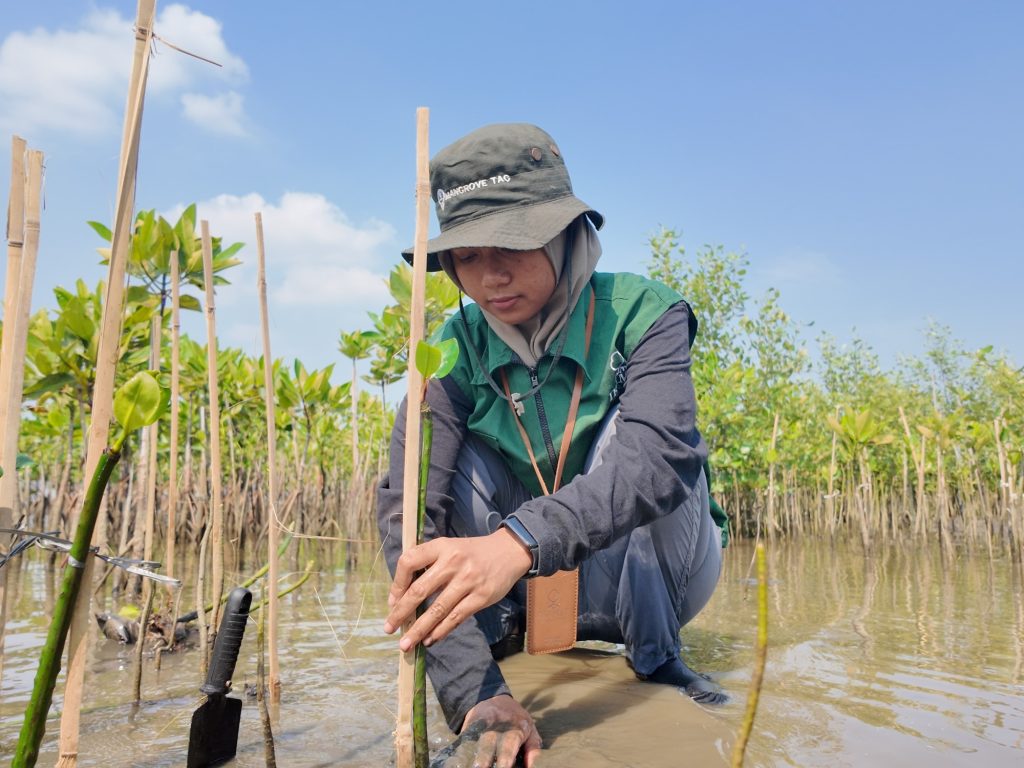 Adopsi Mangrove untuk Por Suppakarn