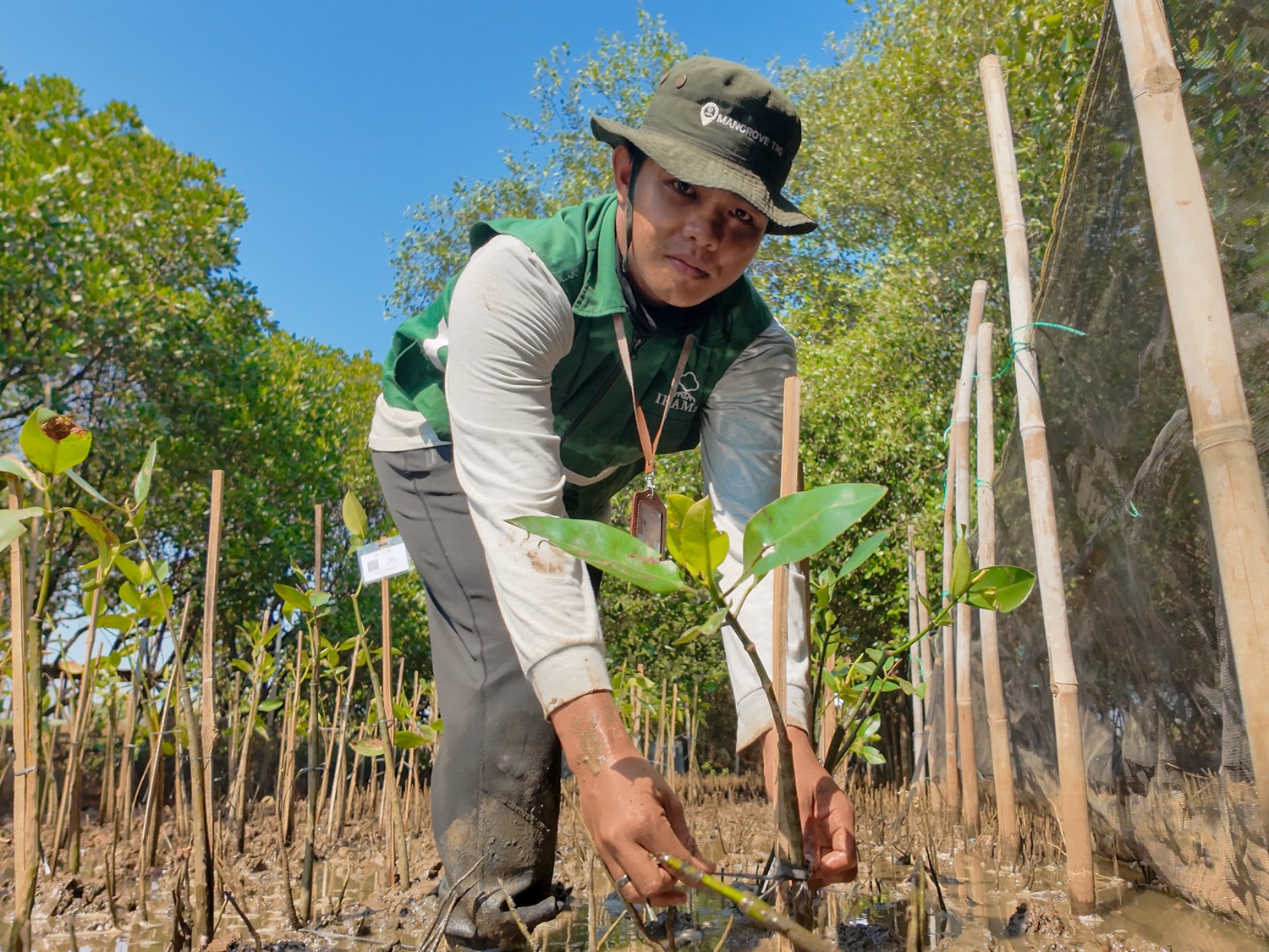 Program Adopsi Mangrove KeMANGI di Semarang Mangrove Center, Jawa Tengah