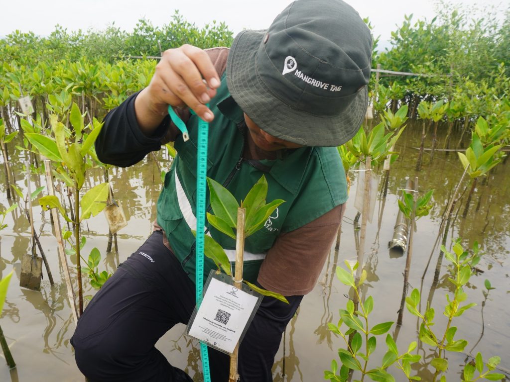 Proses pemantauan oleh tim KeMANGI.