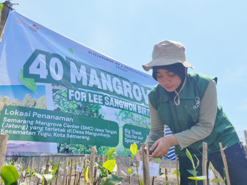 rayakan-ulang-tahun-idola-dengan-tebus-jejak-emisi-karbon-di-bumi-klub-penggemar-lee-sangwon-ald1-adopsi-44-bibit-mangrove