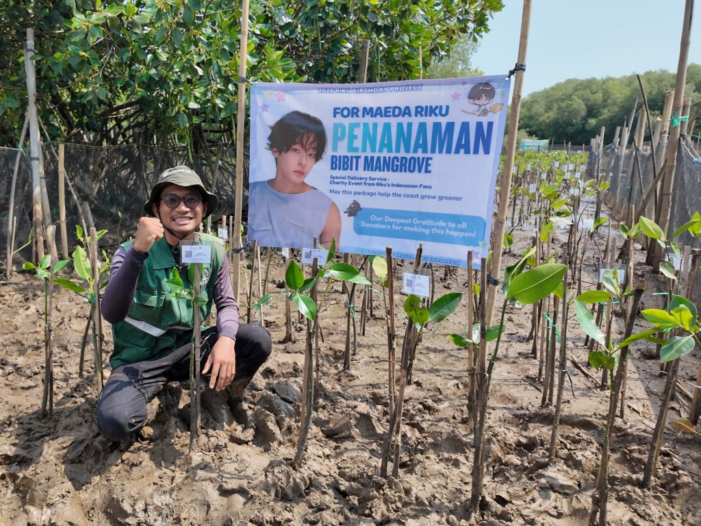 Penanaman mangrove Semarang sebanyak 16 bibit untuk merayakan ulang tahun Maeda Riku NCT di SMC Jateng