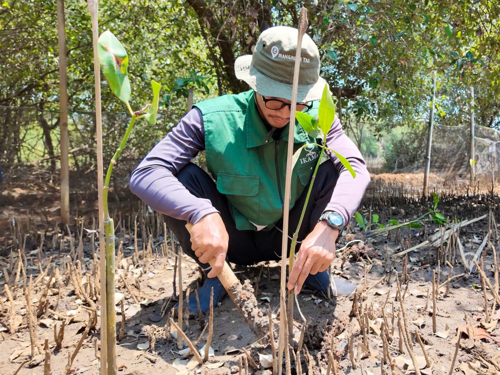 Rehabilitasi mangrove melalui penanaman dua bibit untuk mengenang orang terkasih di SMC Jateng, Semarang.