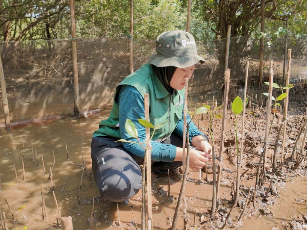 Adopsi Mangrove empat bibit sebagai ungkapan rasa syukur dan hadiah untuk Angela Muji di SMC Jateng, Semarang