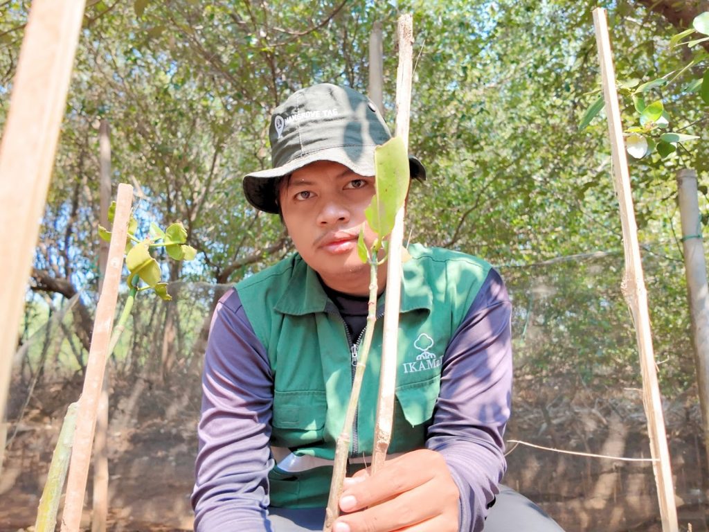 Penanaman 40 bibit untuk mendukung ekosistem mangrove dalam perayaan ulang tahun Chao Yufan CORTIS di SMC Jateng.