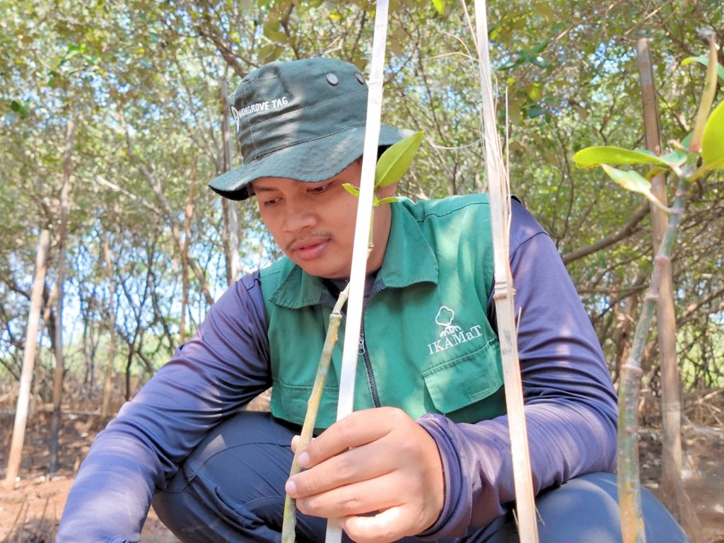Adopsi Mangrove 12 bibit untuk merayakan ulang tahun ke-19 Chung Sanghyeon ALD1 di SMC Jateng, Semarang.
