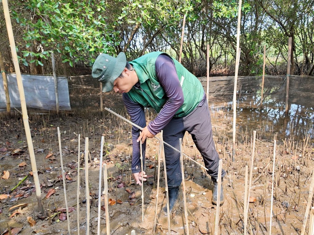 Penanaman 104 bibit untuk mendukung ekosistem mangrove oleh Yudistira Yogendra dan Yunites di SMC Jateng, Semarang.